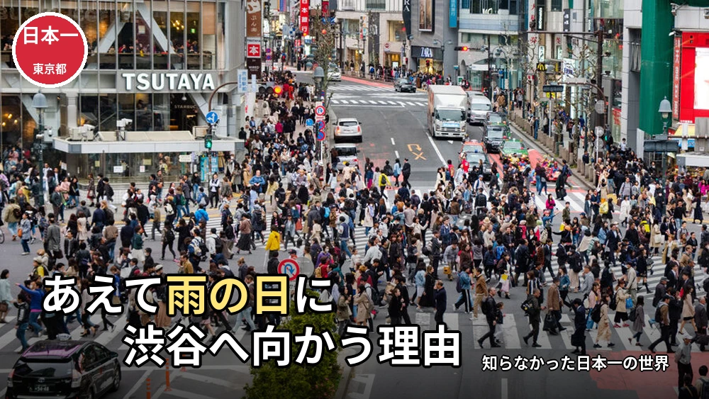 【都道府県ランキング】外国人観光客訪問者数1位は東京都！渋谷の熱狂体験
