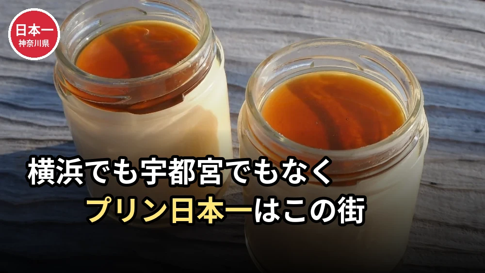 プリンの支出額が日本一は川崎市｜横浜ではない街が1位の理由